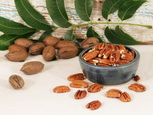 Shelled pecans in a blue bowl, surrounded by unshelled pecans, and loose shelled pecans against a wooden background.