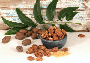 Shelled pecans with a sugar coating in a bowl, surrounded by unshelled pecans, and shelled sugar-coated pecans against a wooden background.