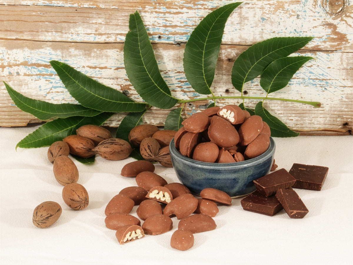 Chocolate covered pecans in a blue bowl against a wooden background that is surrounded by unshelled pecans, chocolate covered pecans, and chocolate bar pieces.